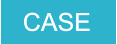 CASE CASE