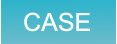 CASE CASE